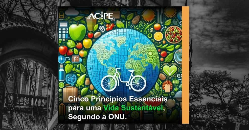 Cinco Princípios Essenciais para uma Vida Sustentável, Segundo a ONU